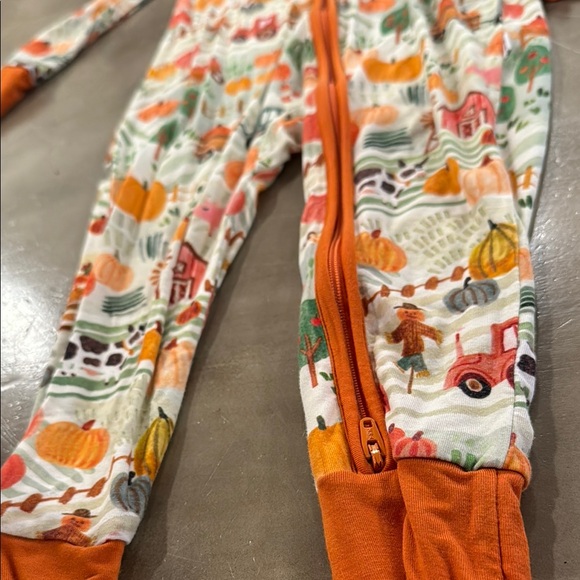 Little Sleepies Happy Harvest Zippy size 18-24 months - Picture 3 of 10